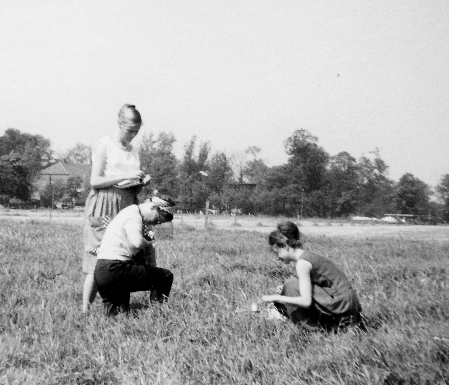 Forschung konkret: Lore Steubing und ihr Team bei der Arbeit, 1960er Jahre. Photo: Schnetter.